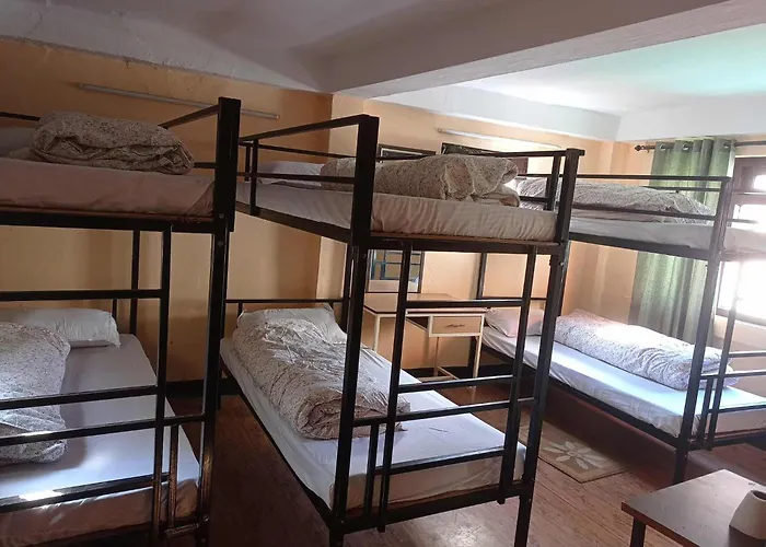 Hostel Pasa *